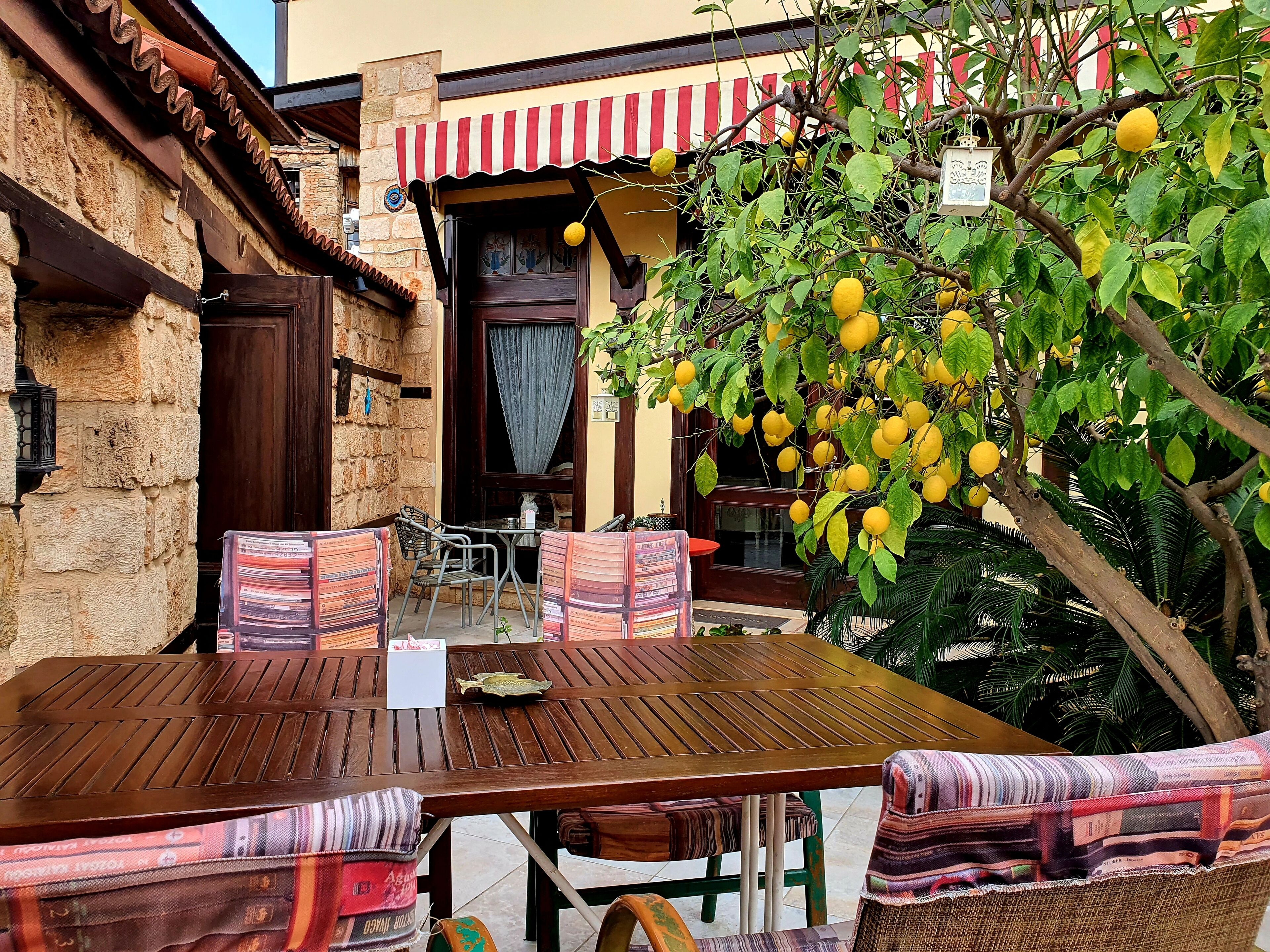 A wooden table with chairs, a small table with a decorative item, and a tree with lemons.