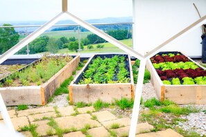 Terrasse sur le toit
