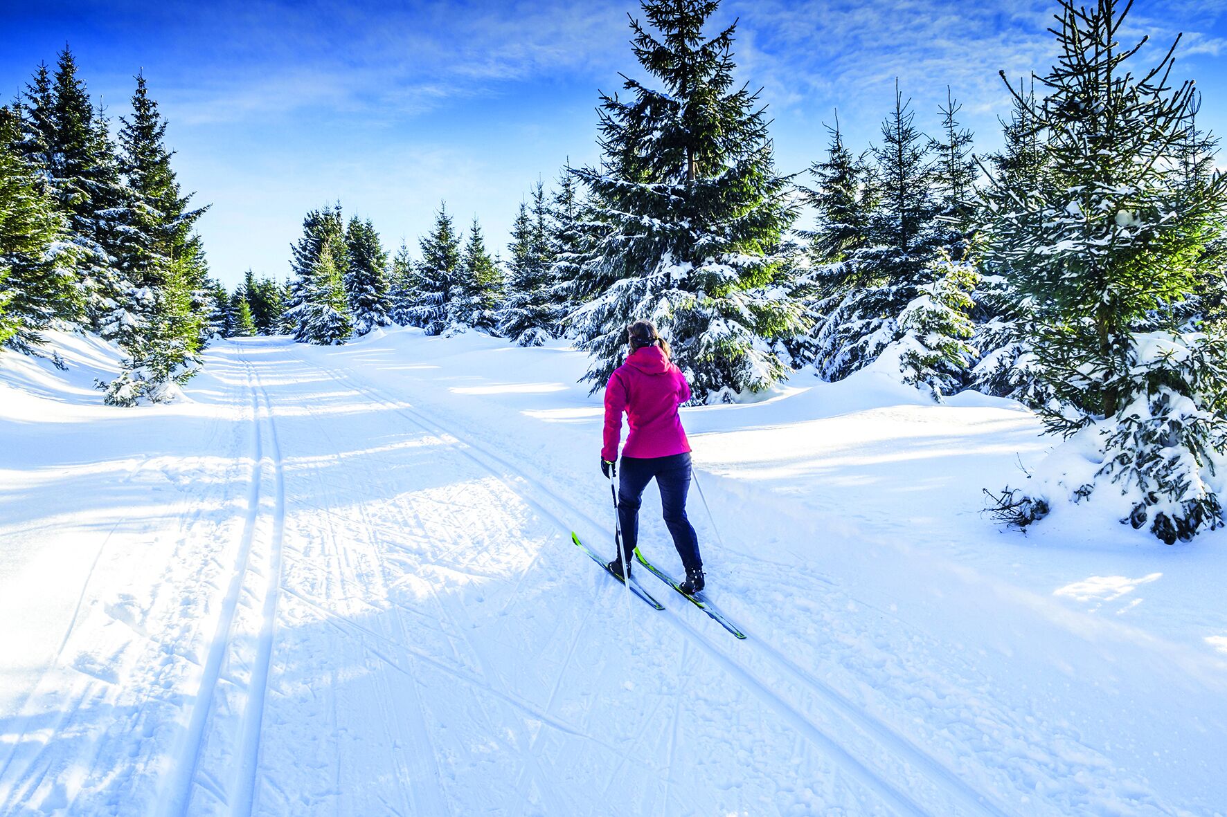 A person cross-country skiing on a snow-covered path surrounded by evergreen trees.
