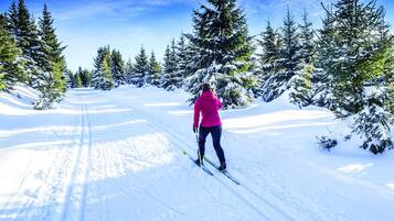 A person cross-country skiing on a snow-covered path surrounded by evergreen trees.