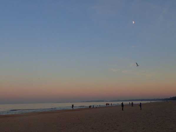Una playa con gente caminando por la orilla, un ave volando y una luna creciente en el cielo.