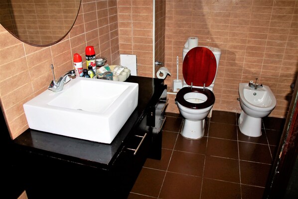 A bathroom with a white sink, a toilet with a wooden seat, and a bidet.