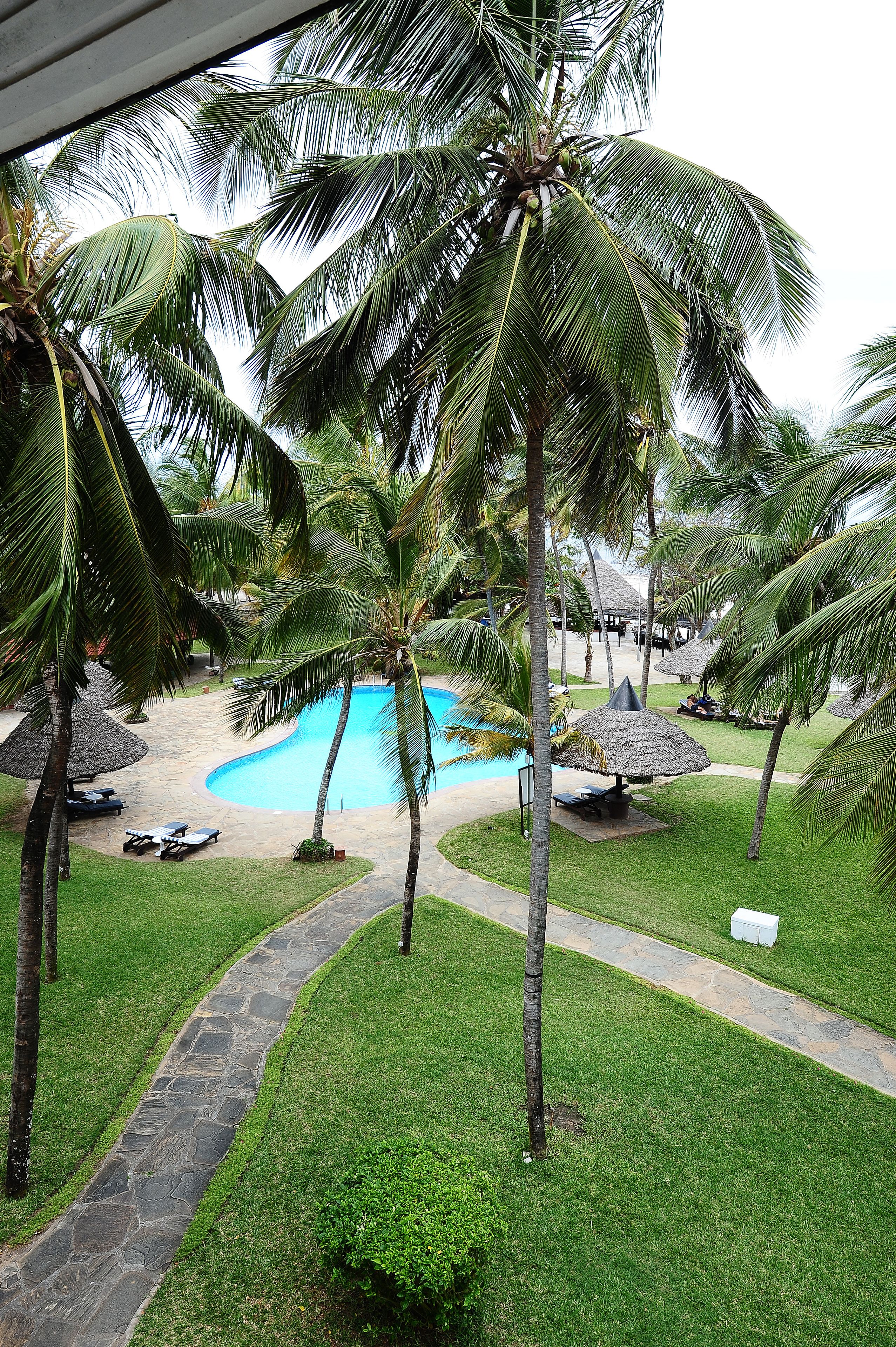 A pool area with palm trees, lounge chairs, and thatched umbrellas.