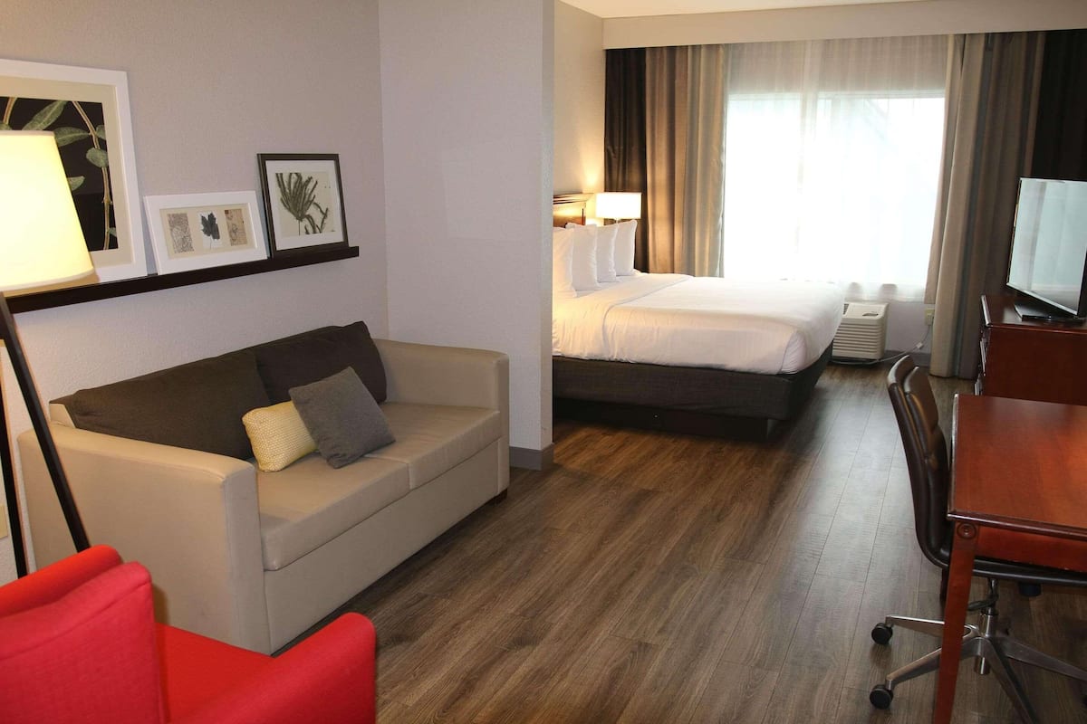 A hotel room with a bed, a desk, a chair, a sofa, and a TV.