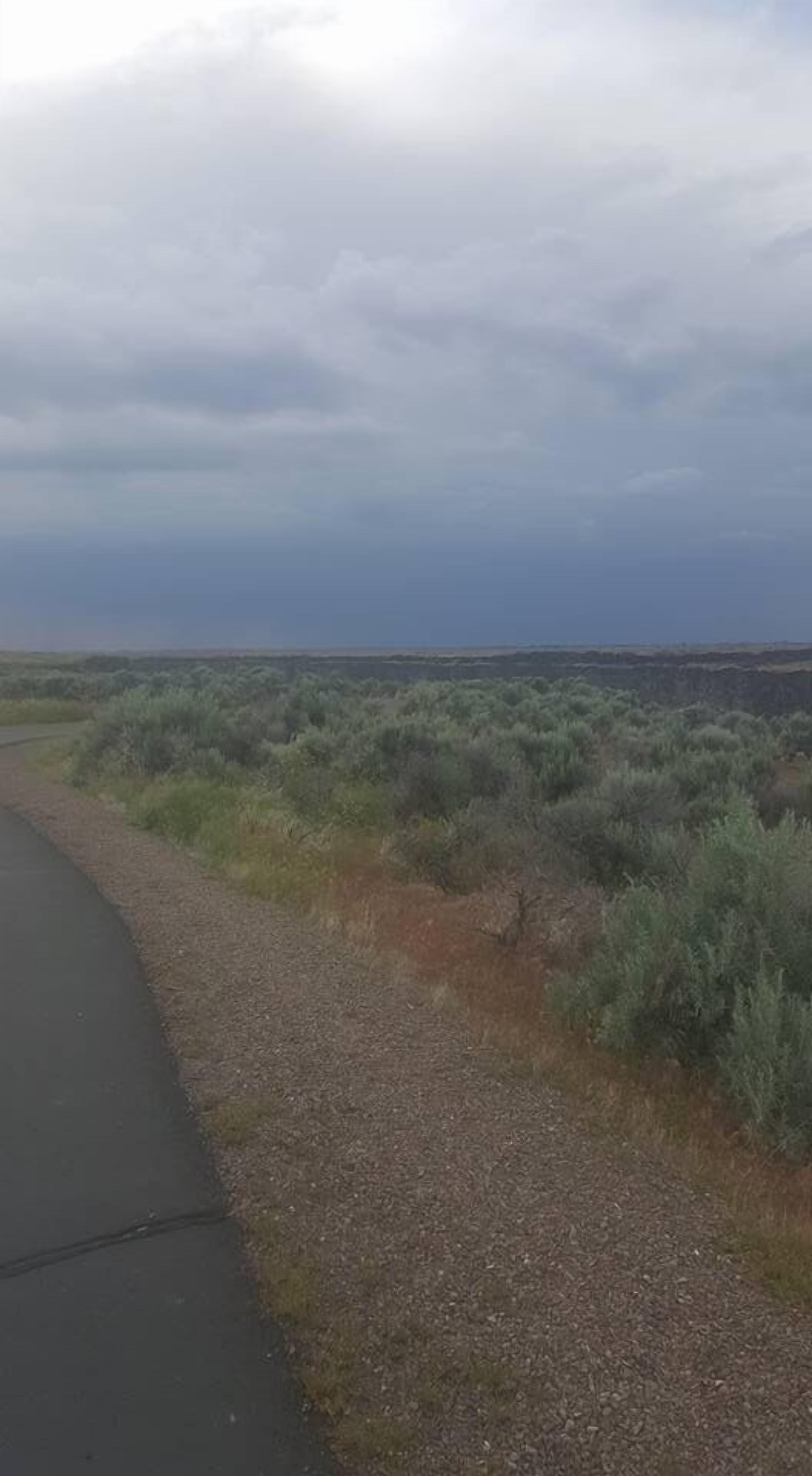 A paved road curving through a dry, bushy landscape with a clear sky above.