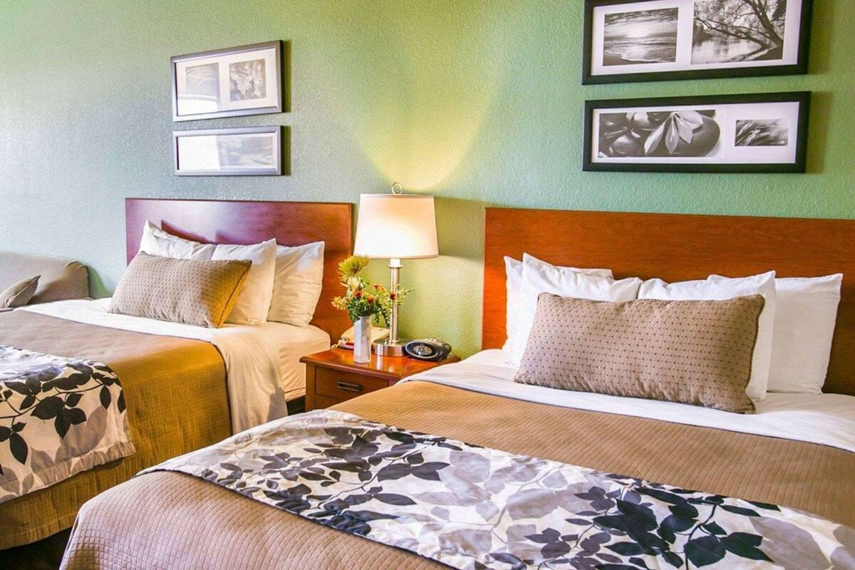Pillow-top beds, desk, blackout curtains, iron/ironing board