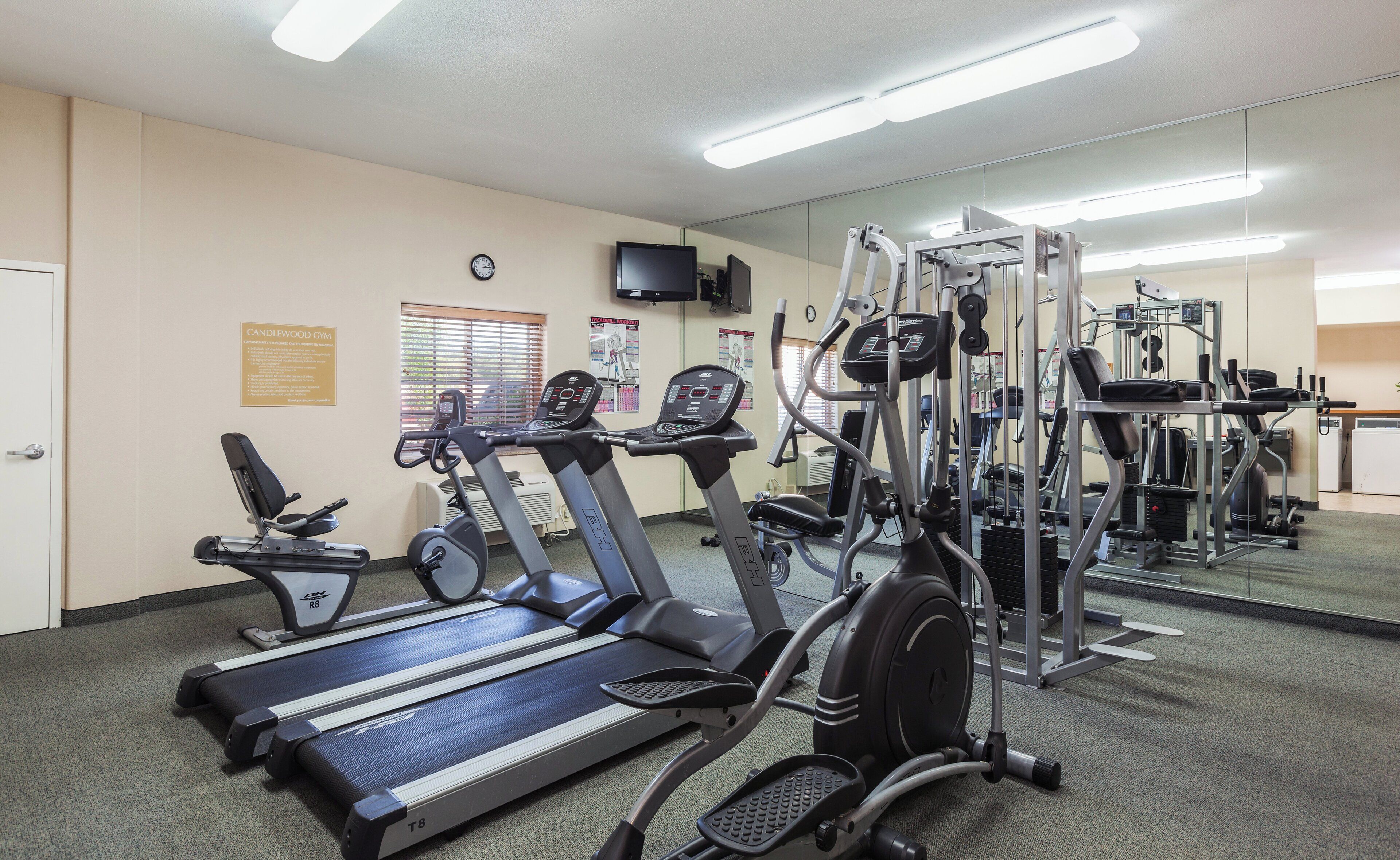 A gym with treadmills, elliptical machines, and weight equipment.