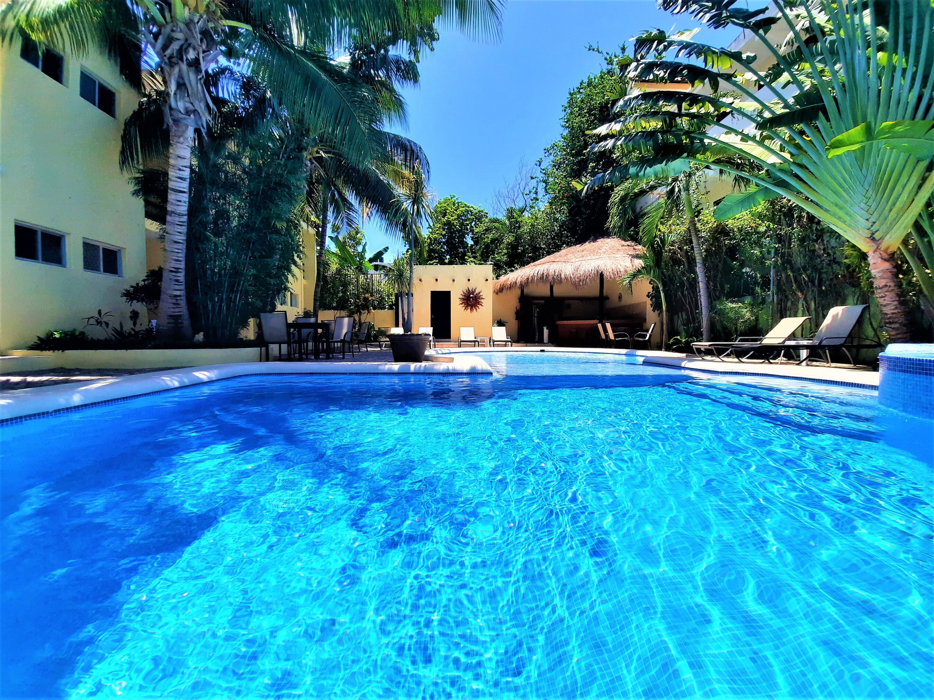 Outdoor pool, sun loungers