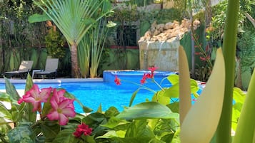 Outdoor pool, sun loungers