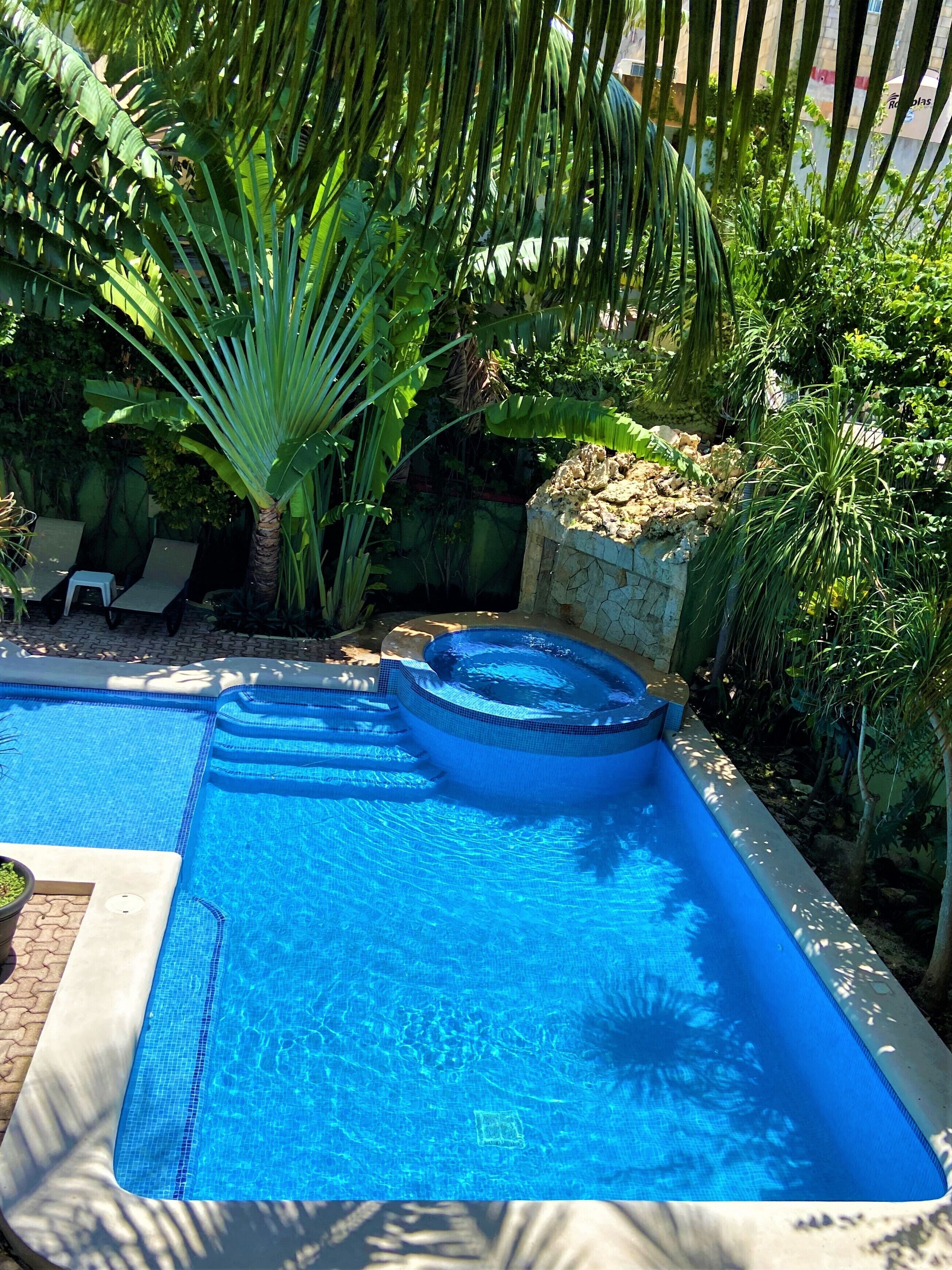 outdoor pool, pool loungers