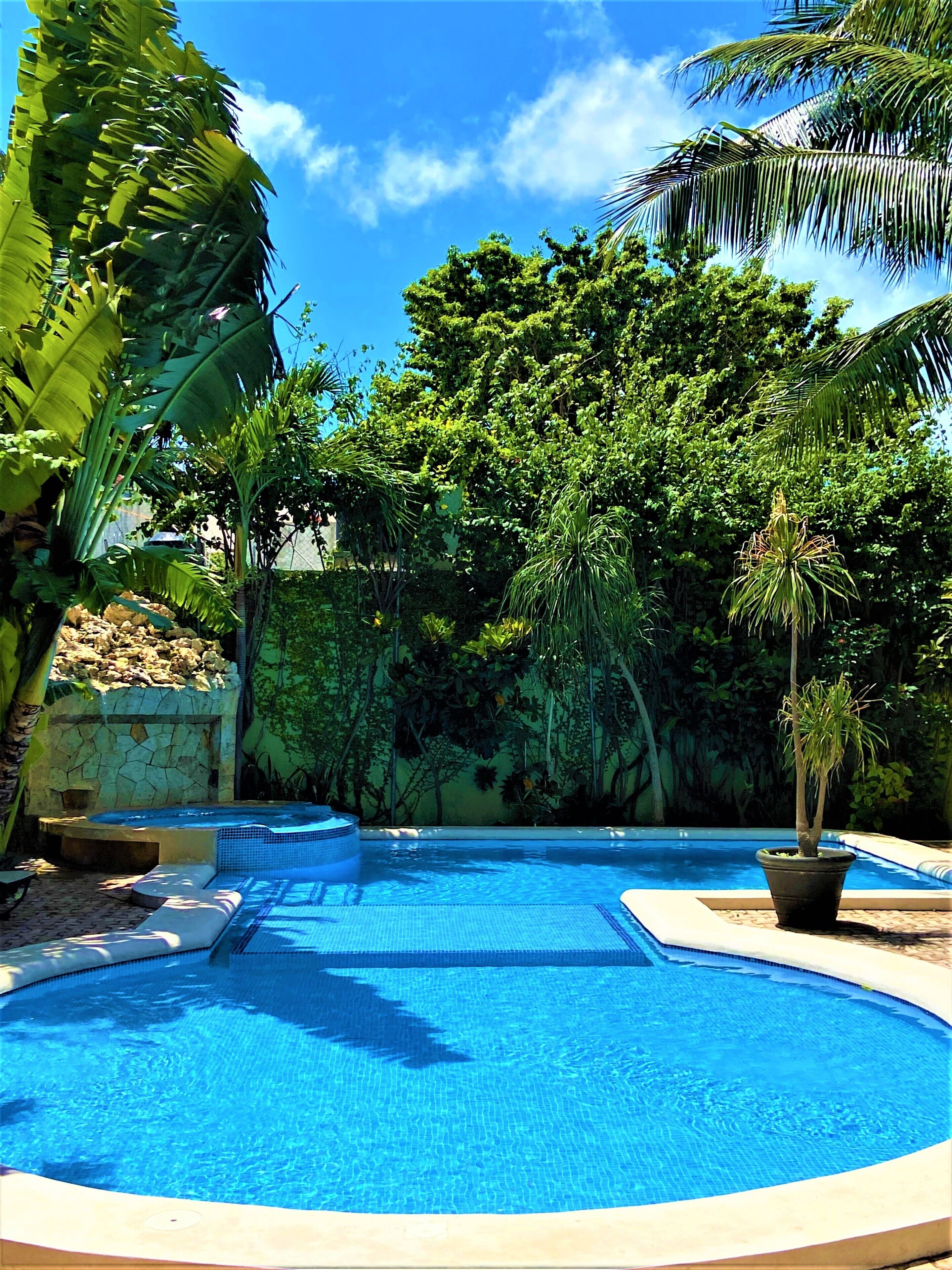 outdoor pool, pool loungers