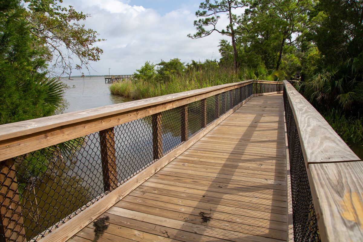 Un muelle de madera con una cerca de malla metálica, rodeado de abundante vegetación y una masa de agua.