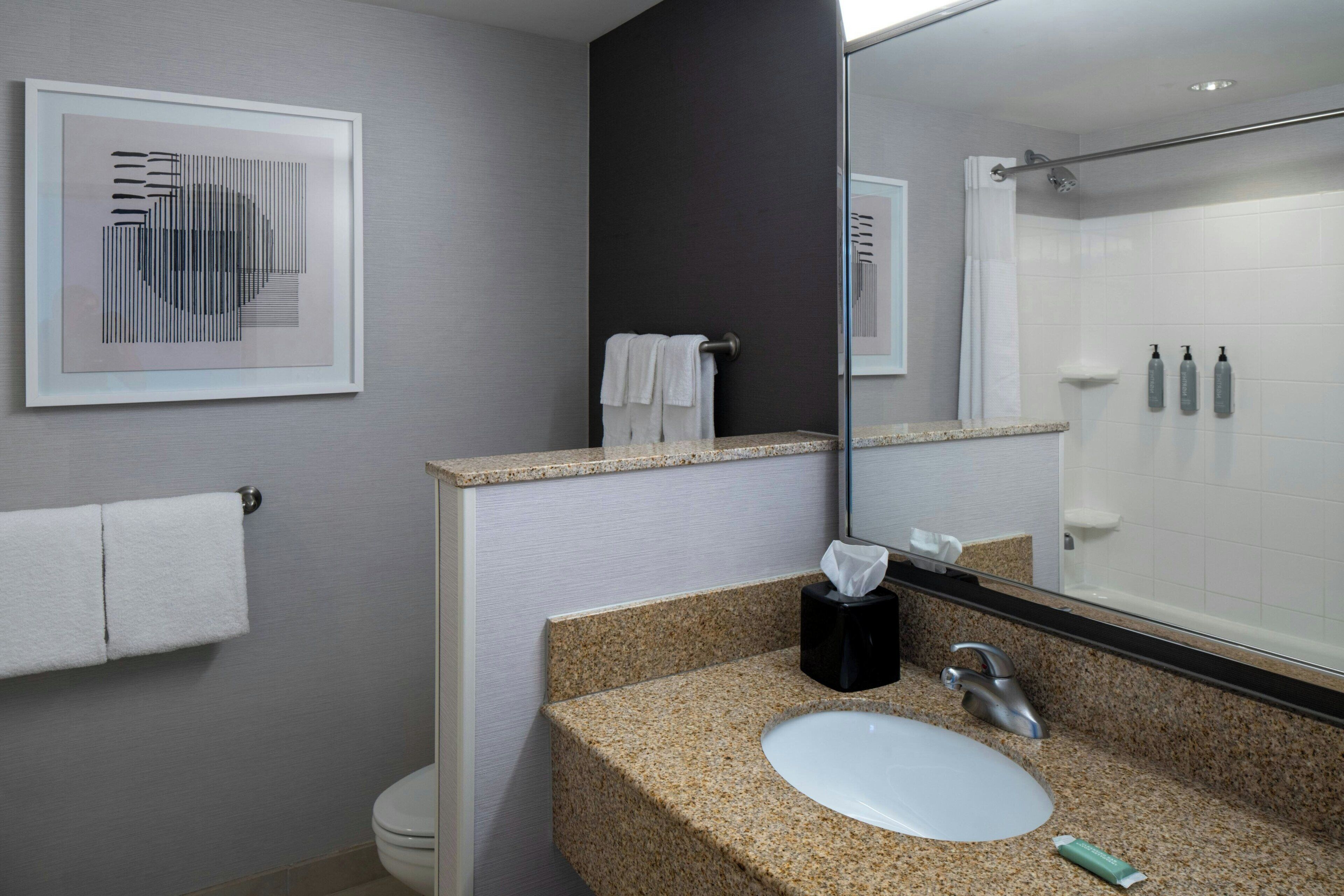 A bathroom with a granite countertop, a white sink, a mirror, a framed artwork, a towel rack, and a shower area.