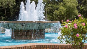 A fountain with water jets in a pool, surrounded by a brick border and a tree with pink flowers. - Courtyard by Marriott Mobile Daphne/Eastern Shore (Spanish Fort)