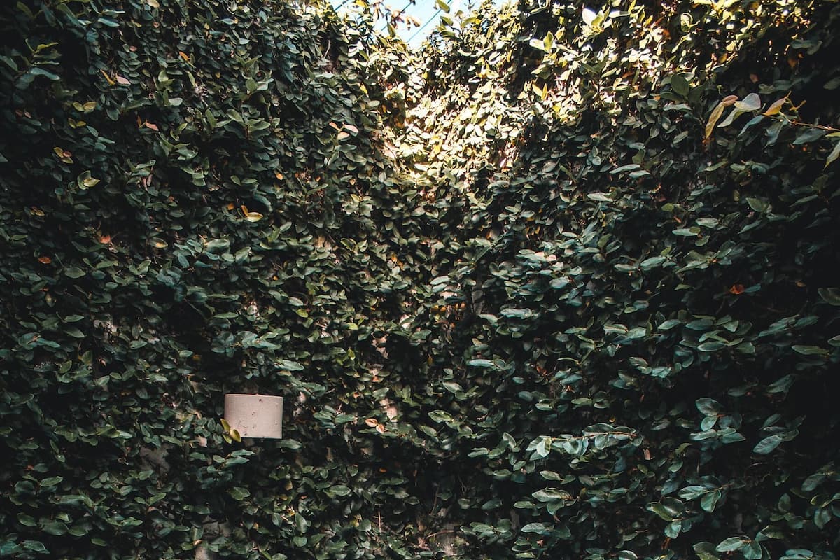 Parco della struttura