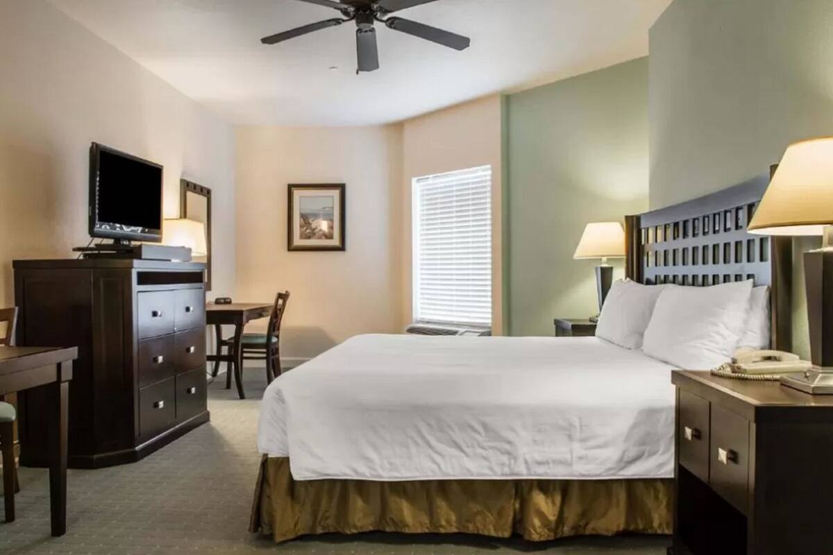 A hotel room with a bed, a desk, a chair, a television, and a ceiling fan.