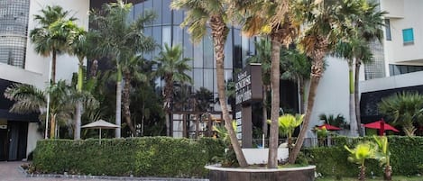 A modern building with palm trees and a hedge in front.
