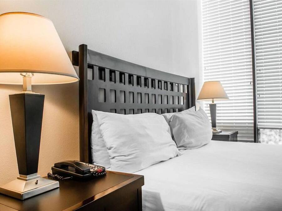 Habitació d'hotel amb llit, dues làmpades de nit, un telèfon i una finestra amb persianes.