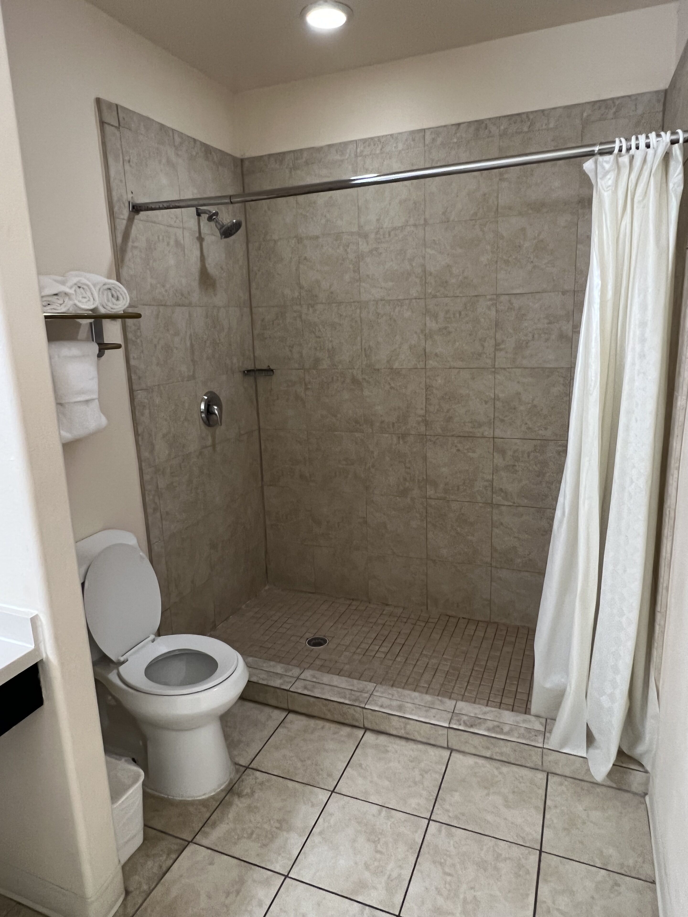A bathroom with a toilet, shower, and tiled floor.