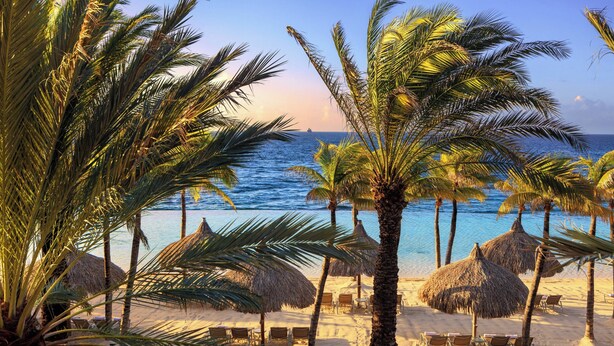 A beach with palm trees, thatched umbrellas, and sun loungers. - Renaissance Wind Creek Curacao Resort (Willemstad)