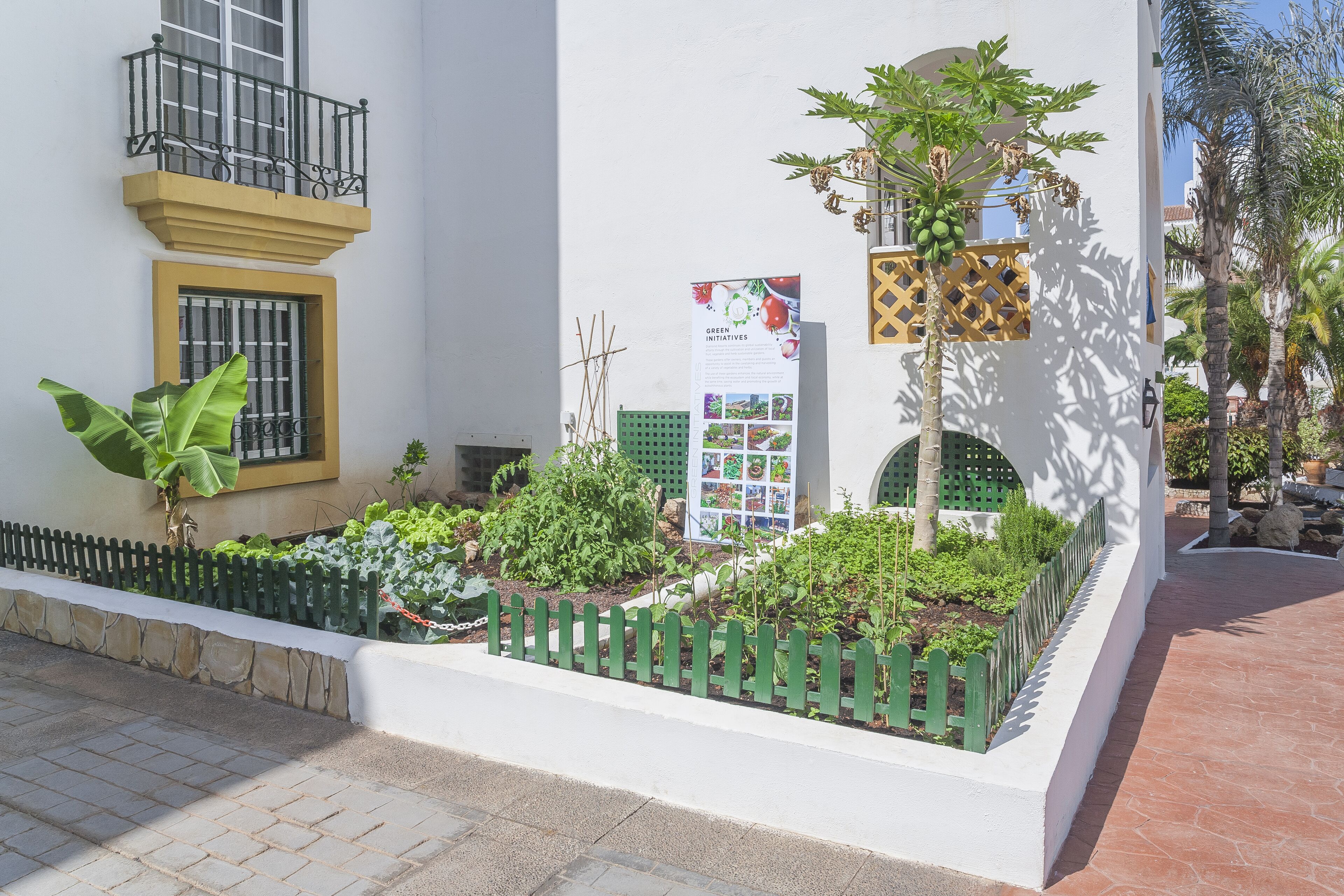 A courtyard with a white building, a green fence, and a variety of plants.