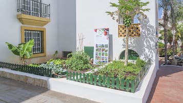 A courtyard with a white building, a green fence, and a variety of plants.