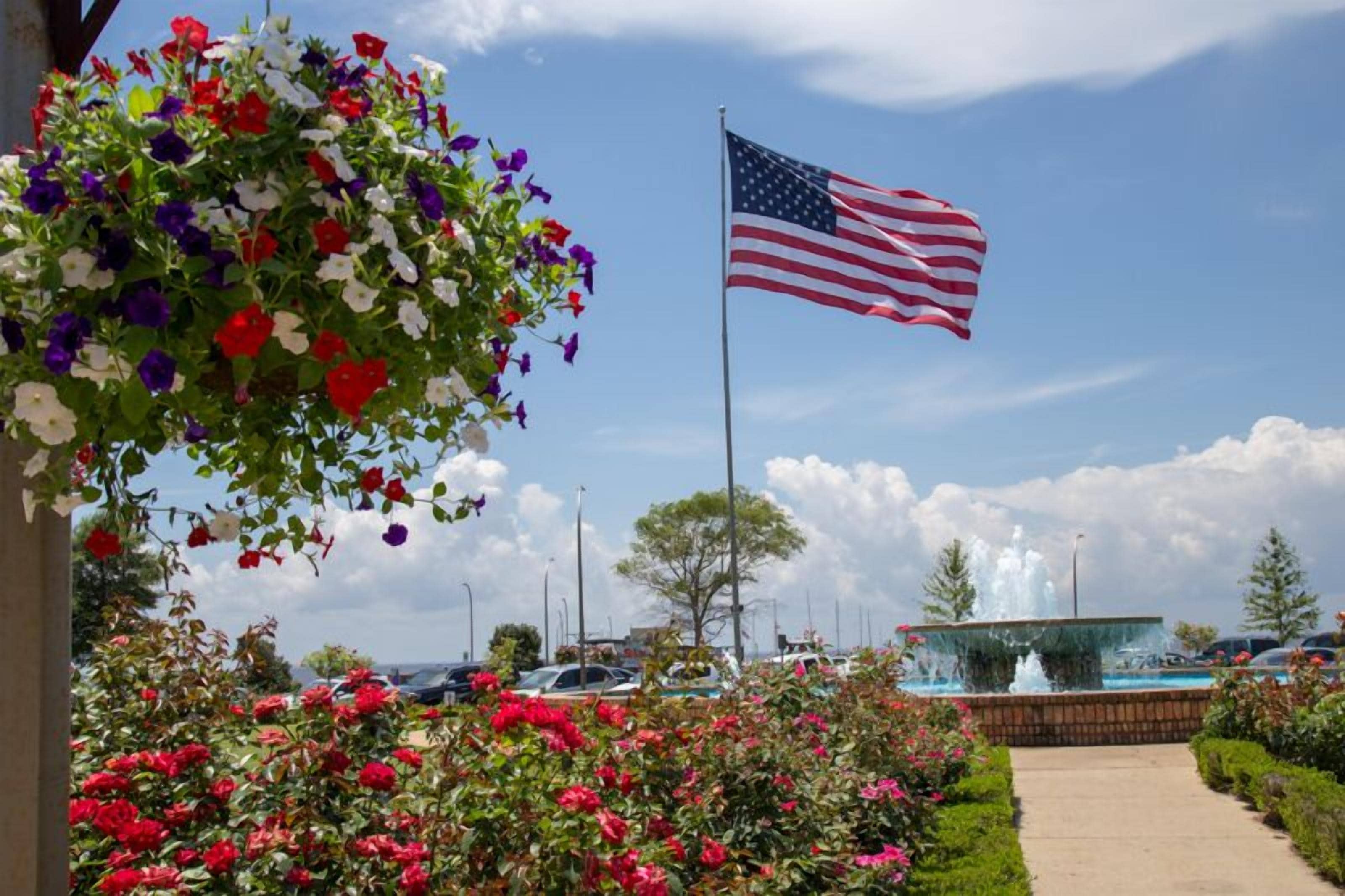A garden with a variety of flowers and an American flag.
