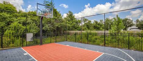 Una cancha de baloncesto al aire libre con valla metálica, rodeada de vegetación.