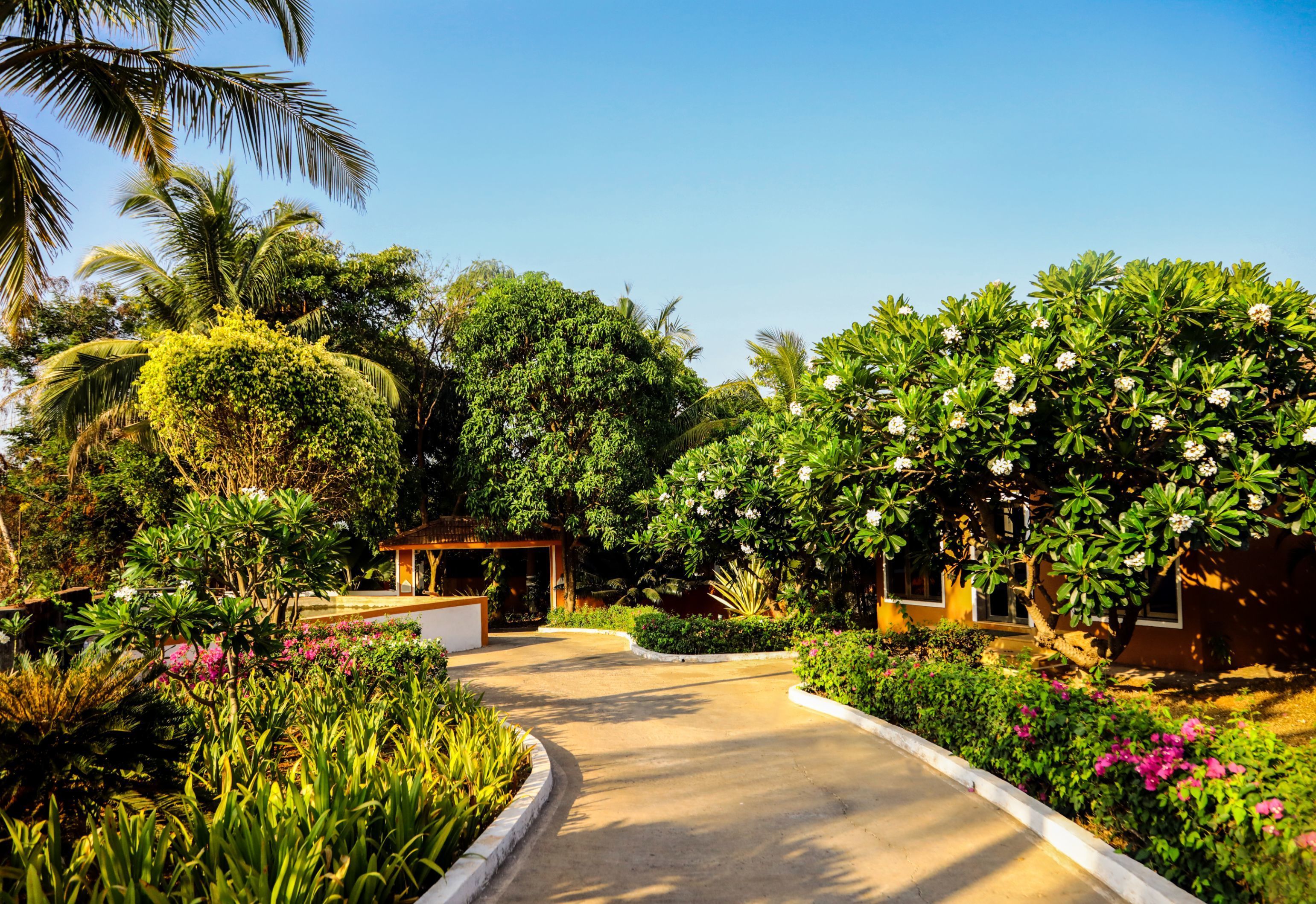 A pathway leading to a building surrounded by lush greenery and flowering plants.