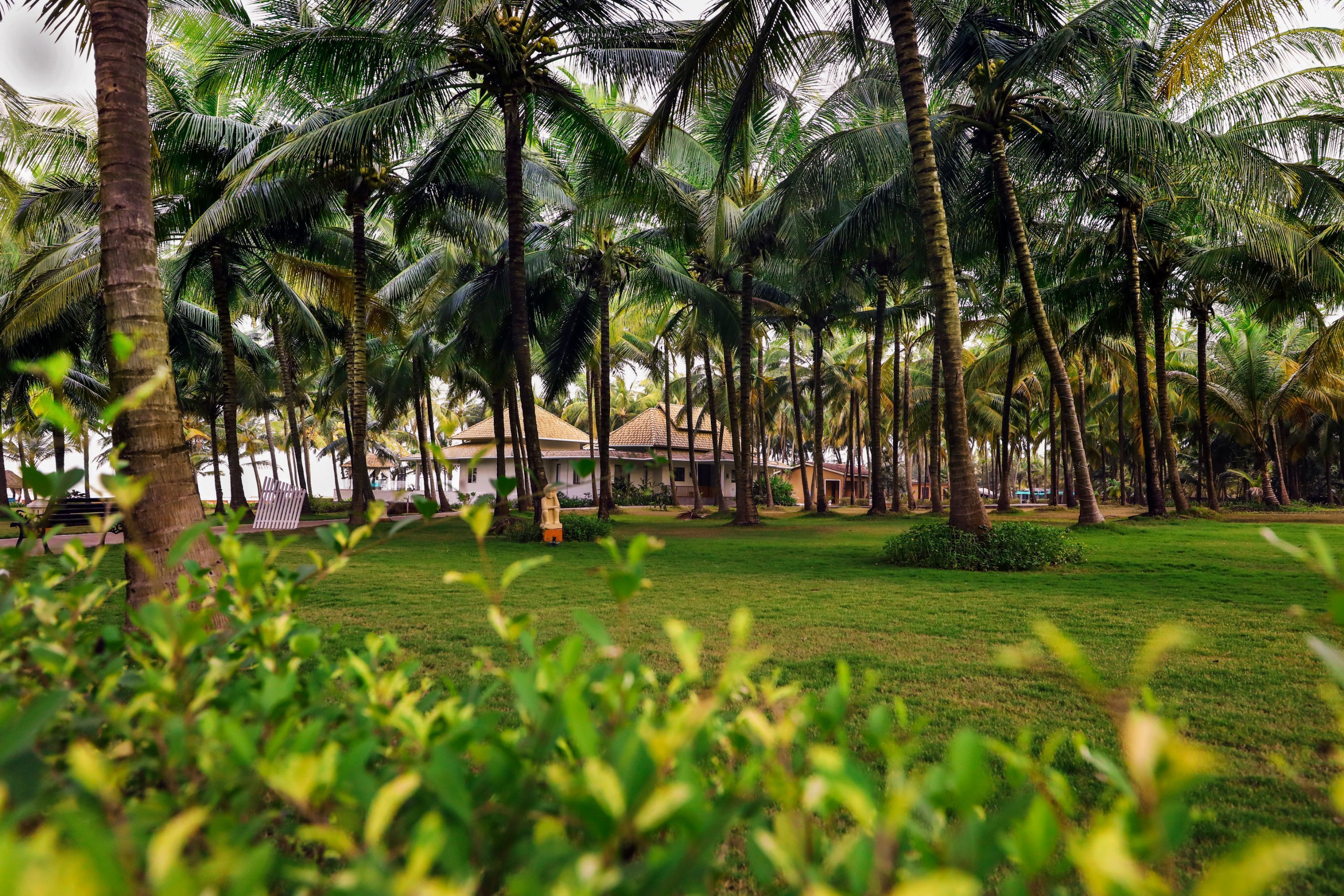 Un resort tropical con palmeras, un césped y un edificio con techo de tejas.