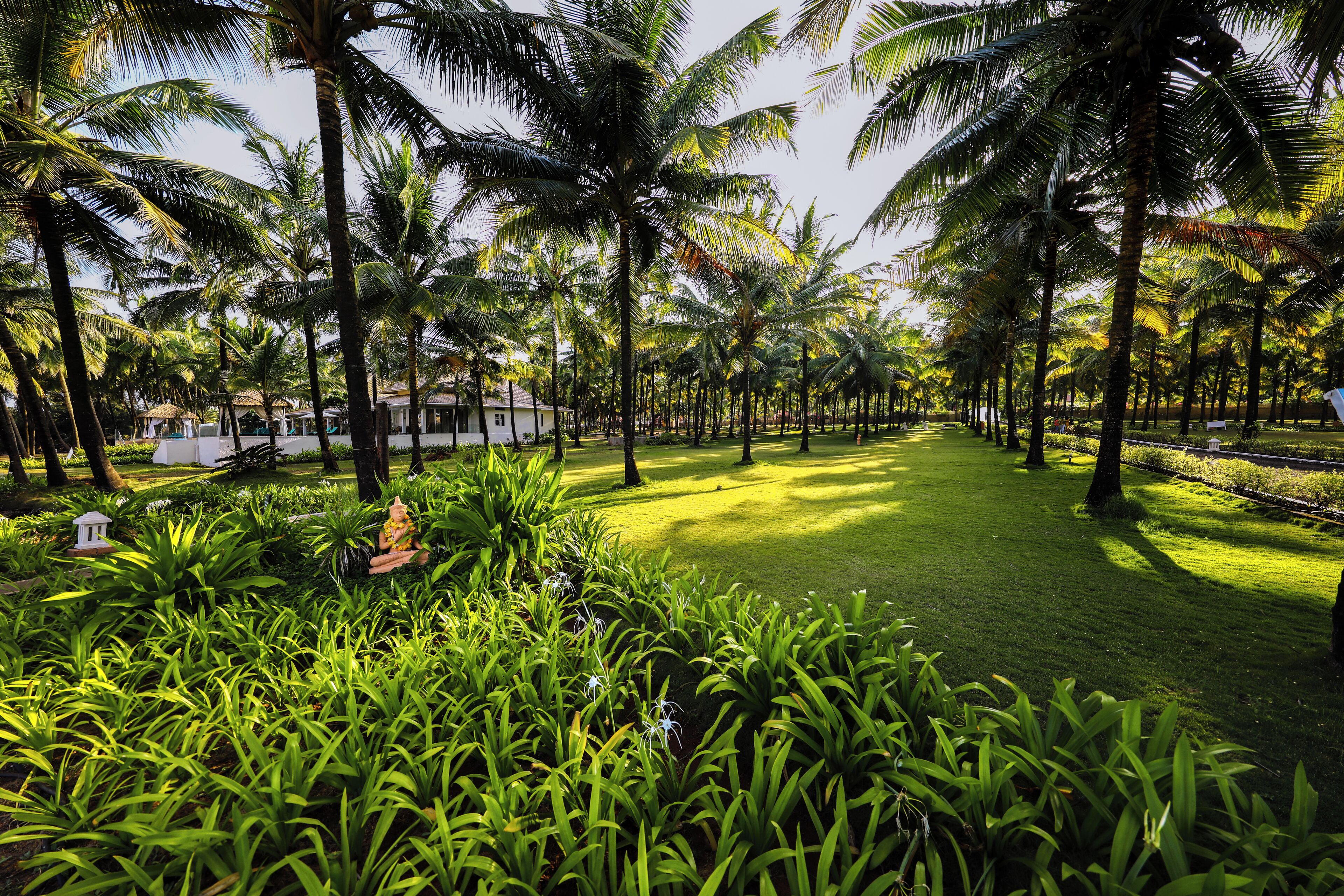 Un jardín tropical con palmeras y exuberante follaje.