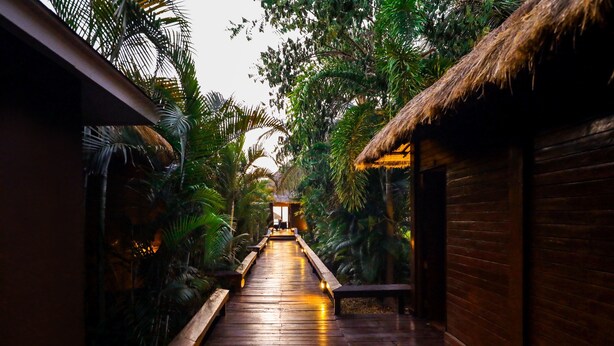 A wooden pathway leading to a thatched-roof structure surrounded by lush greenery.