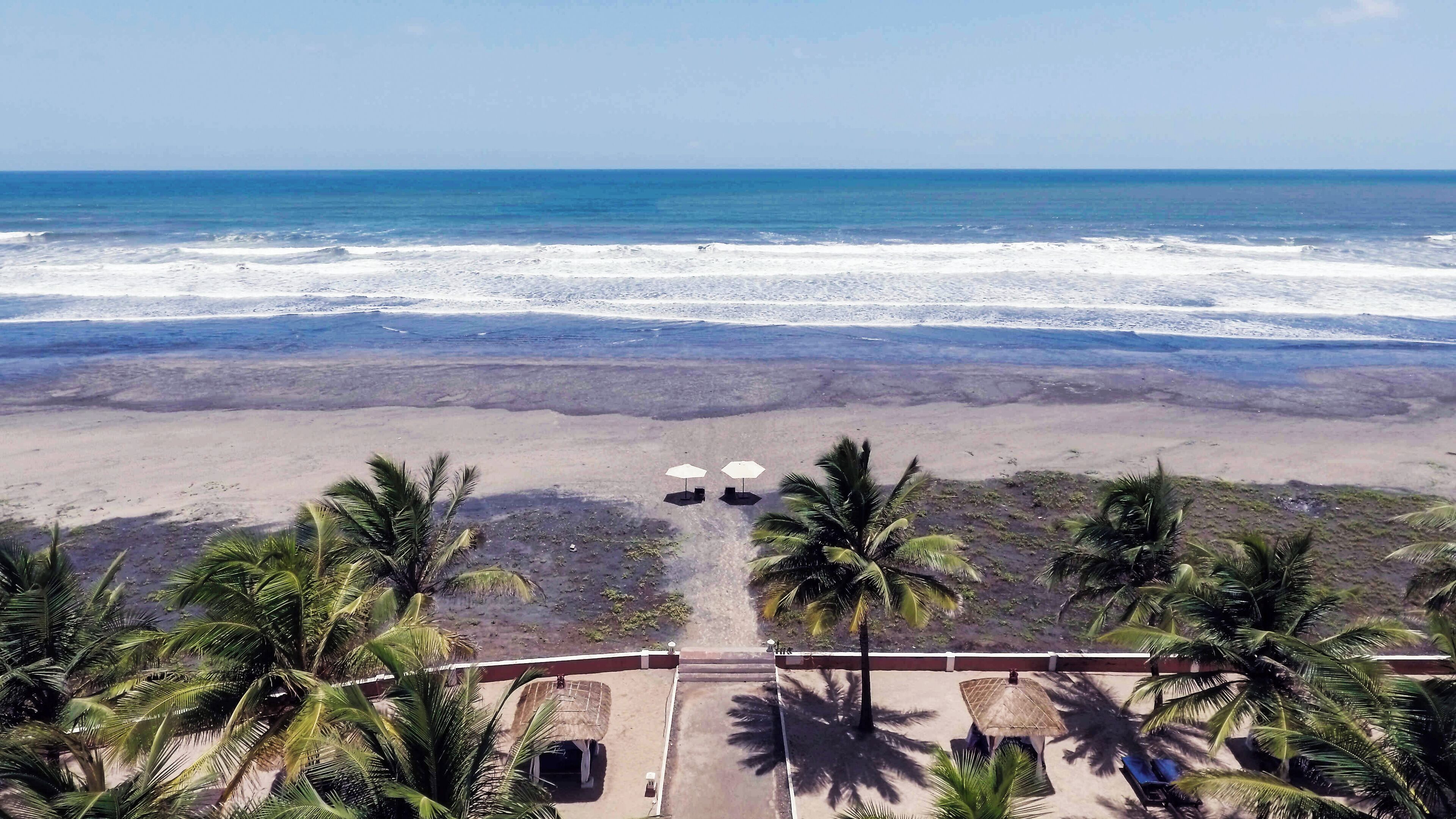 Une vue sur la plage, avec des palmiers, une plage de sable et l’océan.