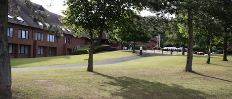 A grassy courtyard with trees, a brick building, and a pathway.