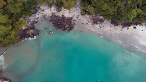 Een luchtendbeeld van een strand met helder turquoise water en weelderige groene begroeiing.