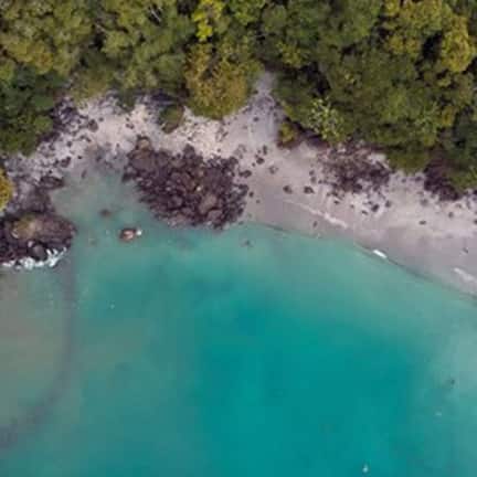 An aerial view of a beach with clear turquoise waters and dense green foliage.