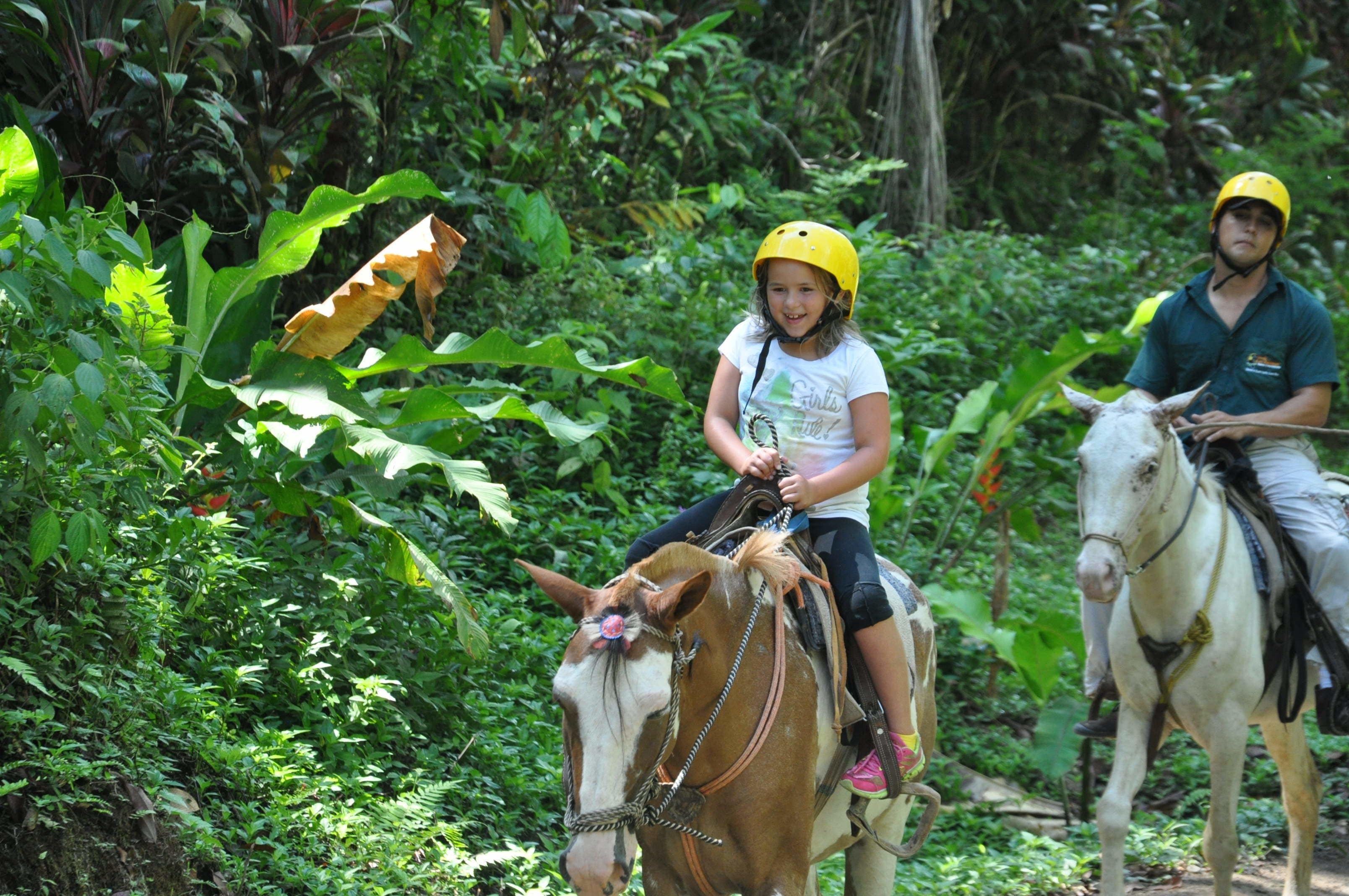 A person riding a horse through a lush, green forest.