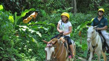 A person riding a horse through a lush, green forest.