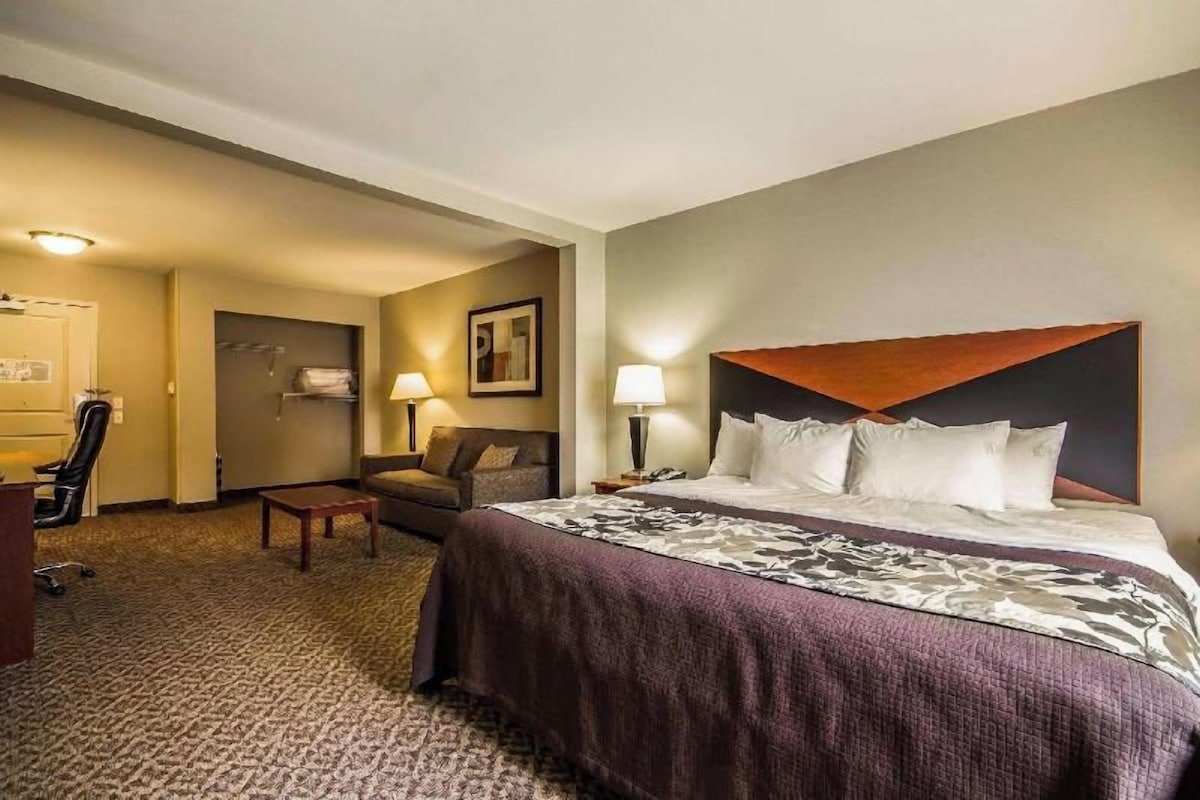 Una habitación de hotel con una cama grande, un escritorio, una silla y una lámpara.