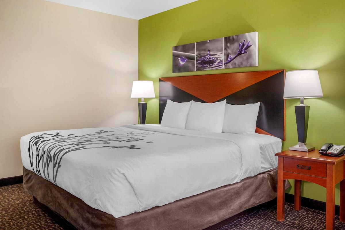 Camera d'albergo con un letto grande, due comodini con lampade, un telefono e un quadro appeso sopra il letto.
