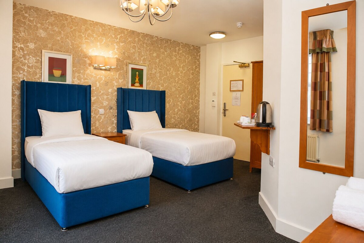 Standard Twin Room | Laptop workspace, iron/ironing board (on request), WiFi (free)