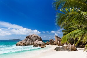 Beach/ocean view - Patatran Village (La Digue)