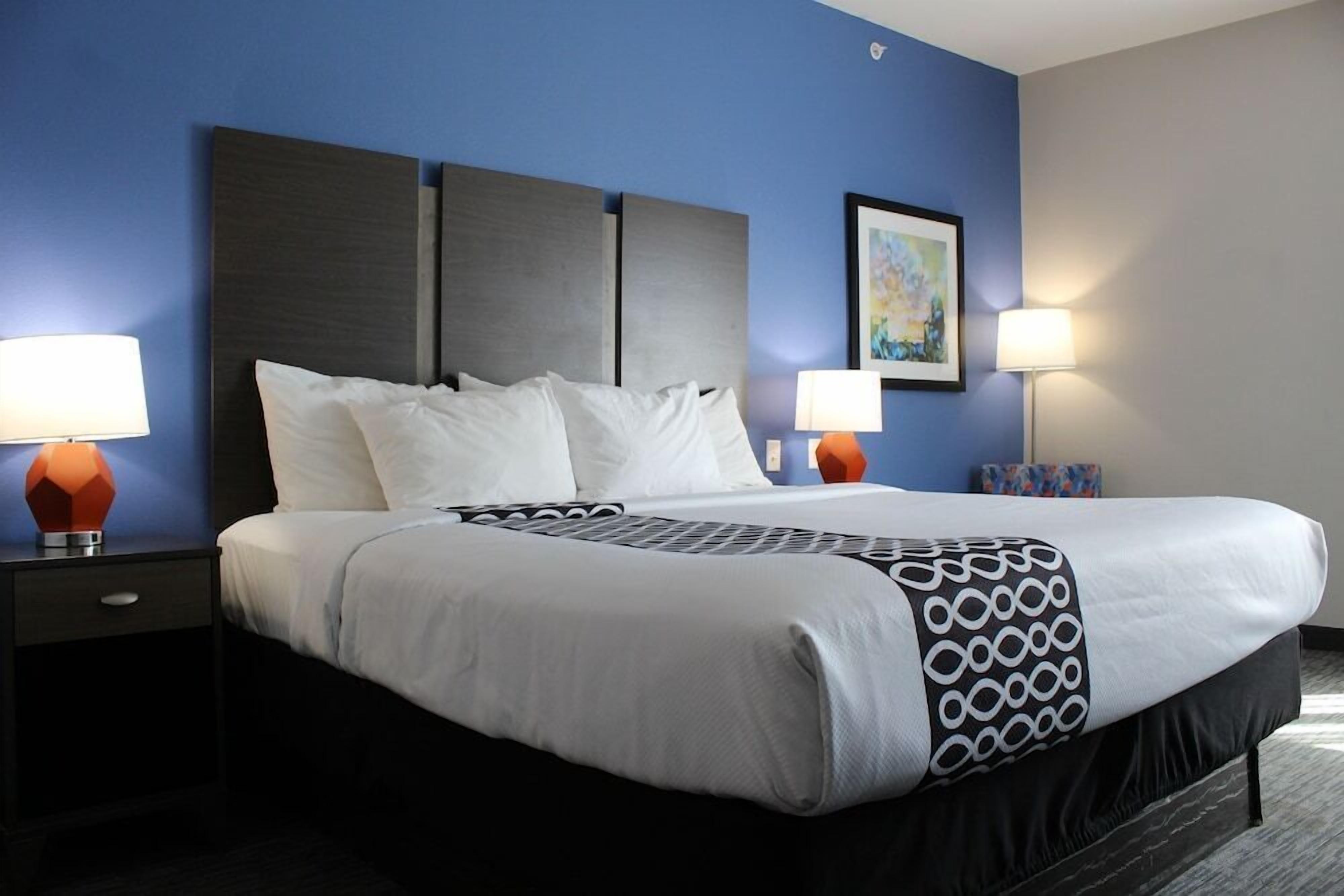 Premium bedding, down duvets, individually decorated