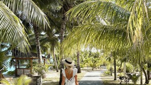 A pathway lined with palm trees and a small structure with a thatched roof.