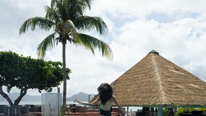 A swimming pool with a palm tree and a thatched-roof structure.