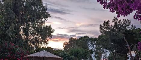 A poolside area with lounge chairs and a swimming pool, surrounded by trees and a sunset in the background.