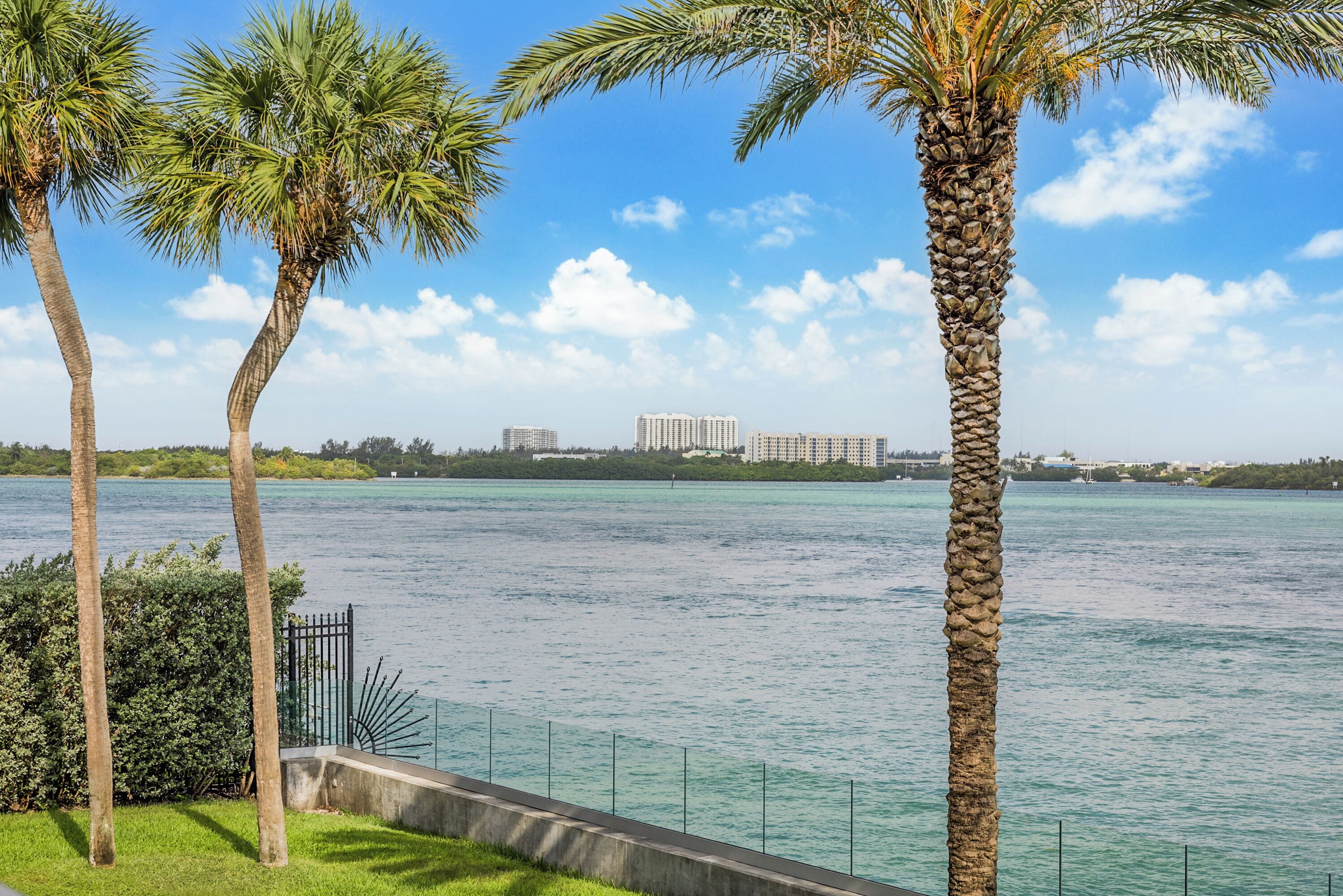 A waterfront view with palm trees, a concrete barrier, and buildings in the background.