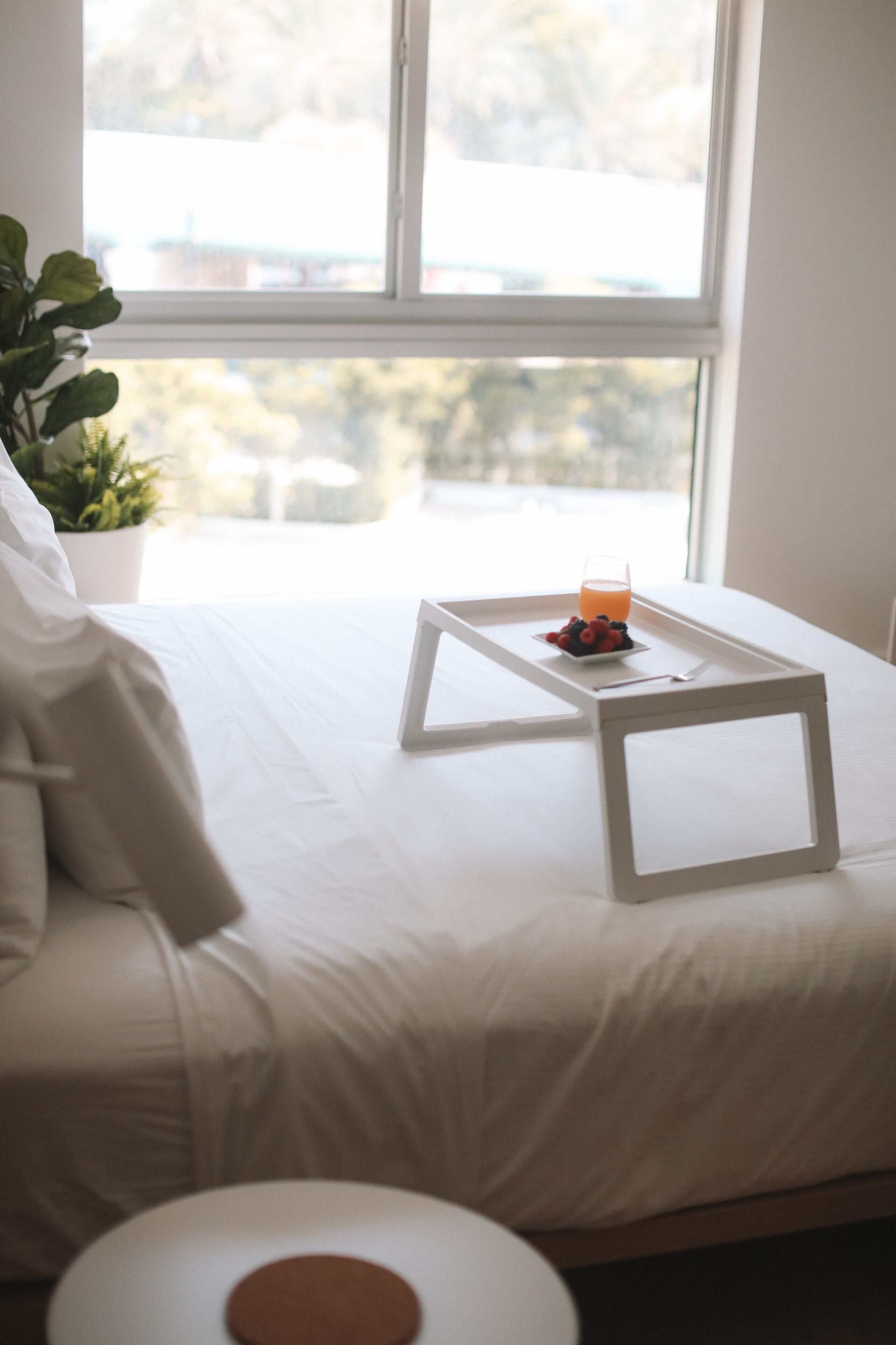 A neatly made bed with a white tray holding a glass of orange juice and a plate of berries, a white pillow, and a potted plant beside the window.
