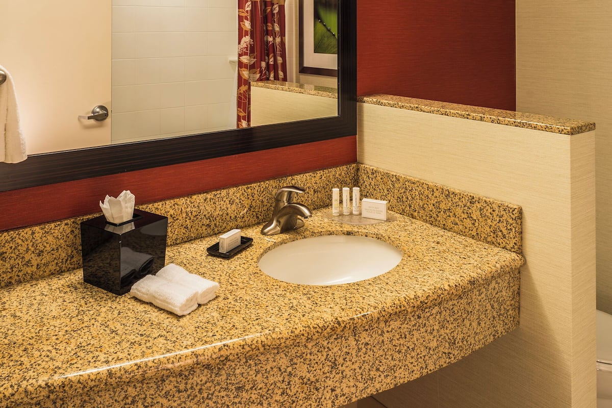 hair dryer, towels, soap, shampoo