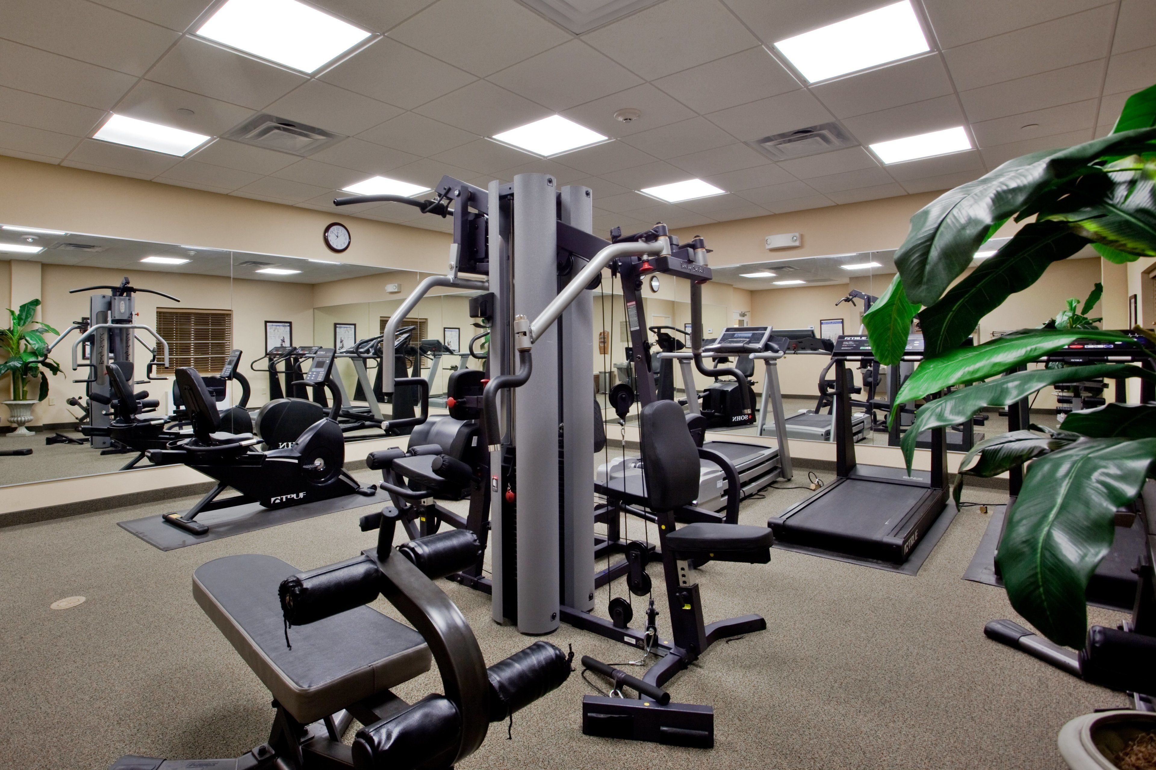 fitness facility